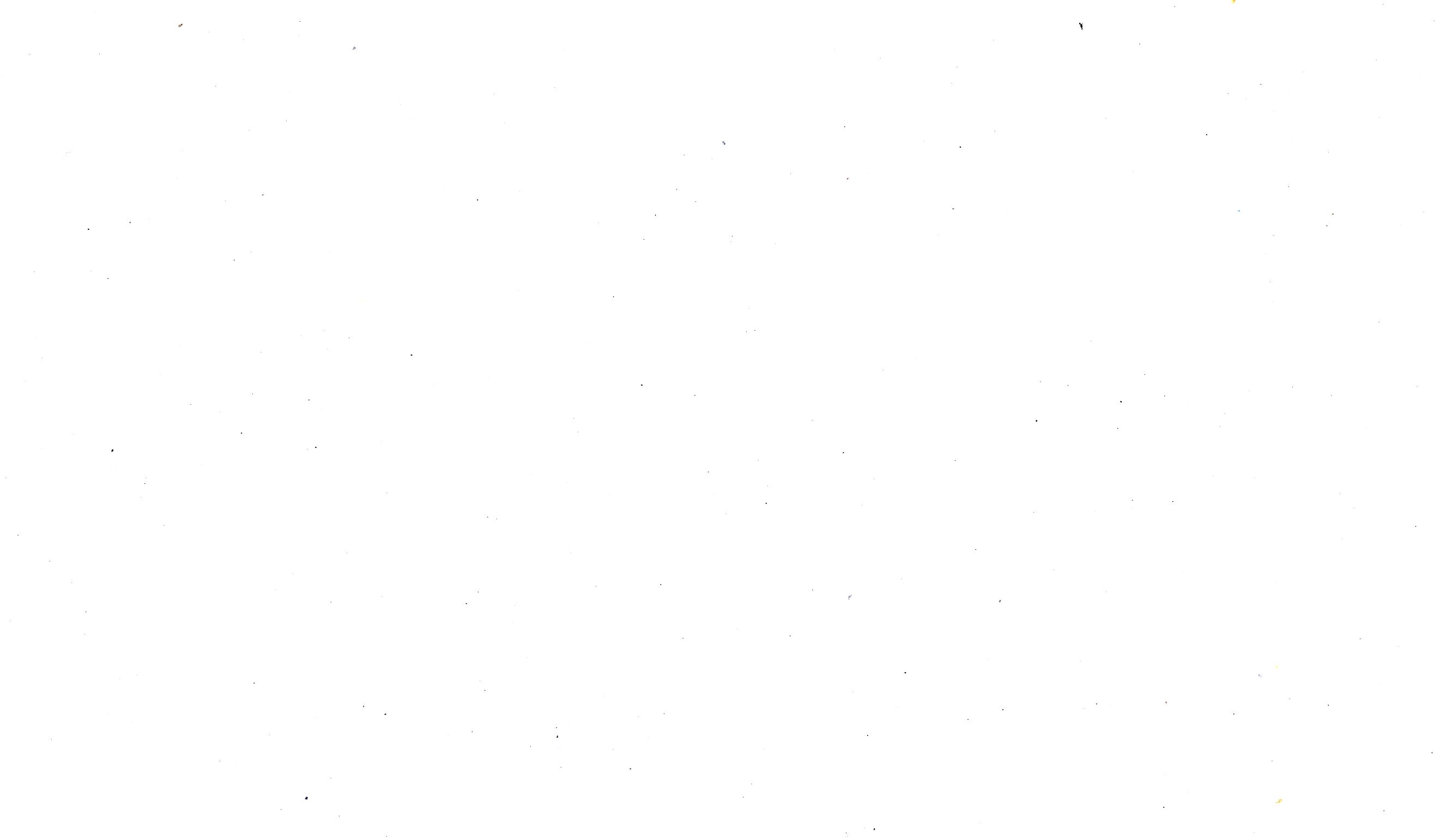 white-background-2